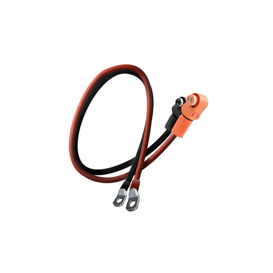 Câble d'Alimentation Étendu 2,5 m pour Batterie Rechargeable Pylontech Pelio LiFePO4 – Installation SSE Résidentielle